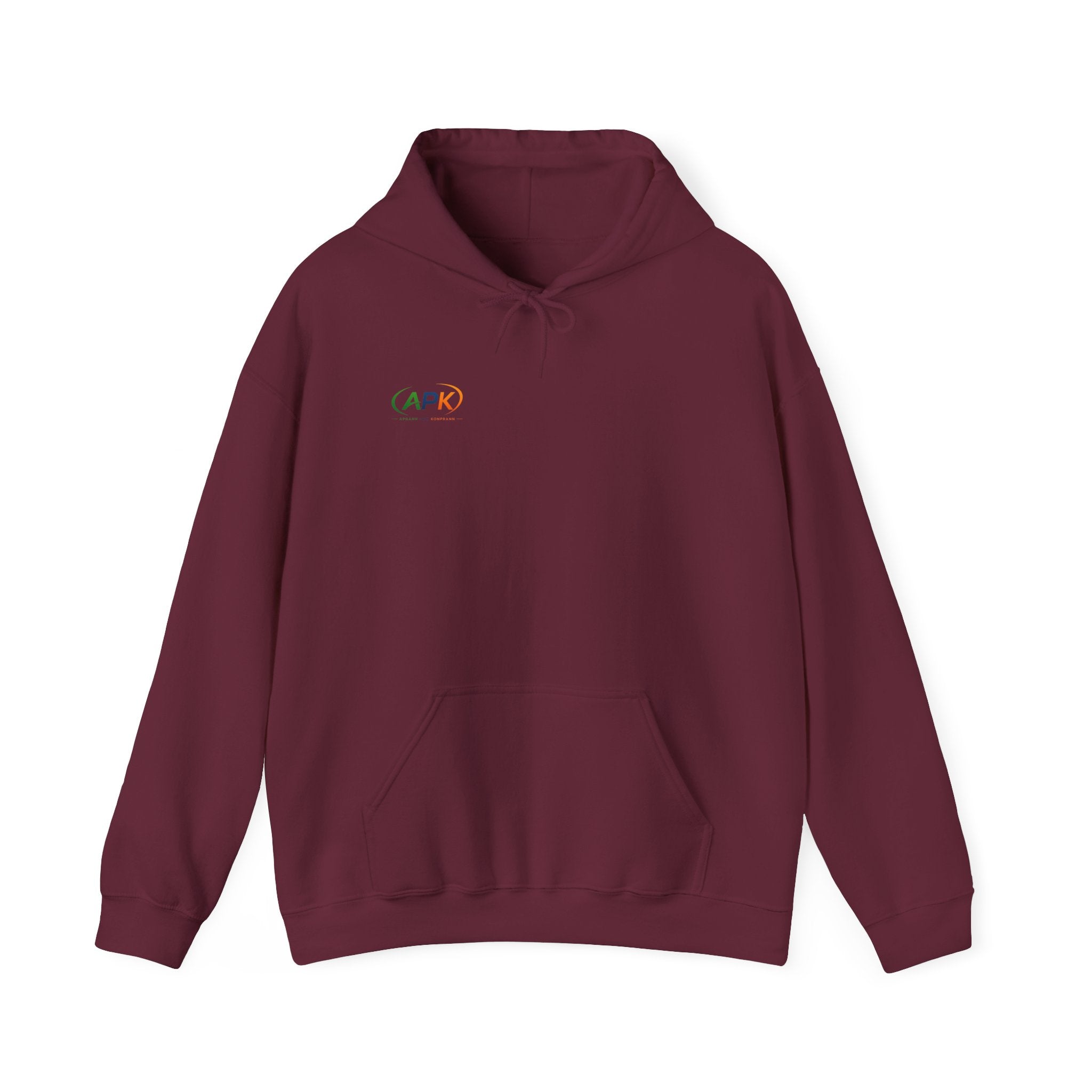 APIC Minimal Logo Hoodie — Subtle Rainbow Tech Sweatshirt