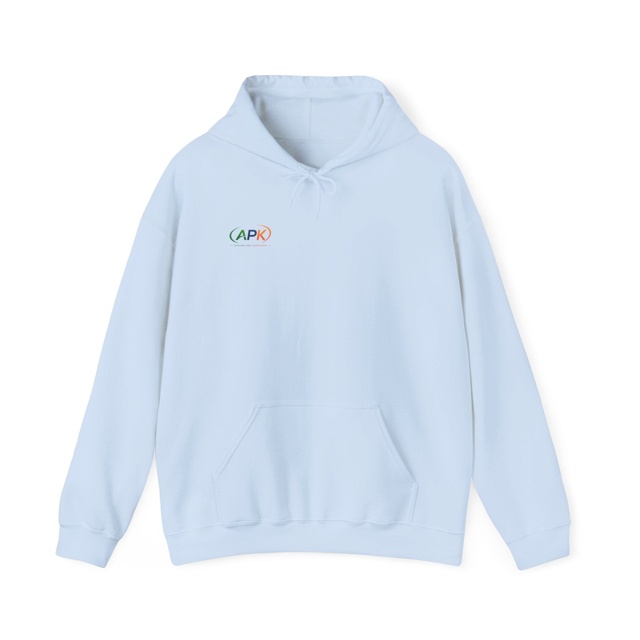 APIC Minimal Logo Hoodie — Subtle Rainbow Tech Sweatshirt