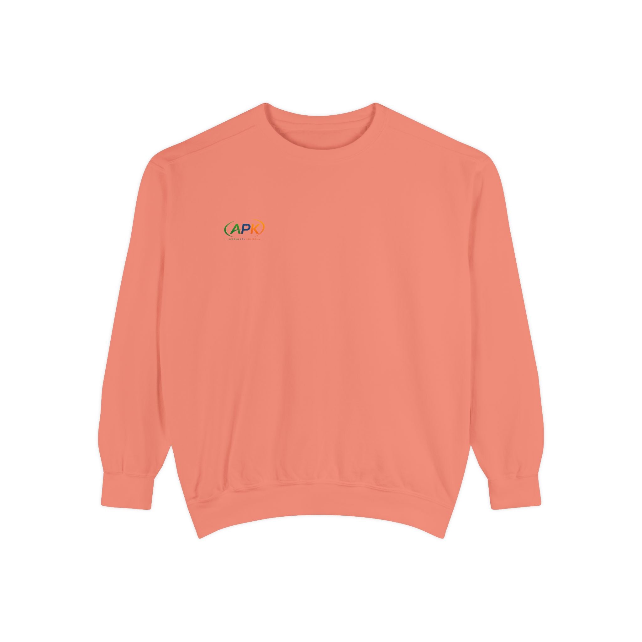 Minimalist 'CAPO' Logo Sweatshirt — Small Rainbow Embroidered Crewneck