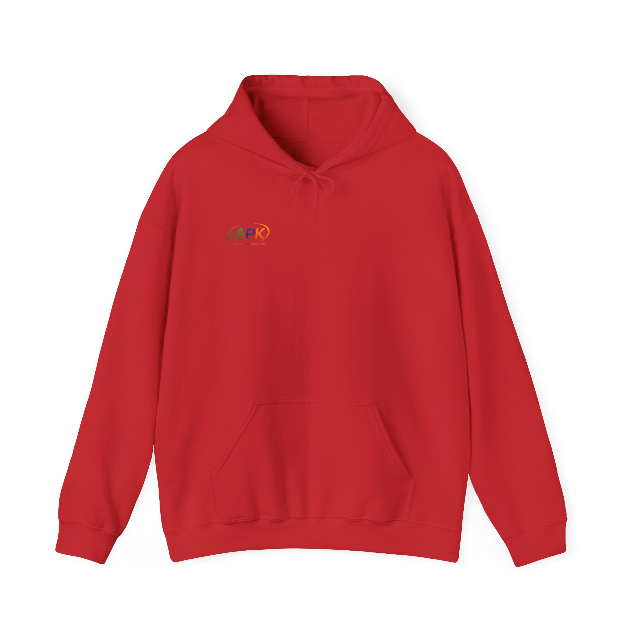 APIC Minimal Logo Hoodie — Subtle Rainbow Tech Sweatshirt