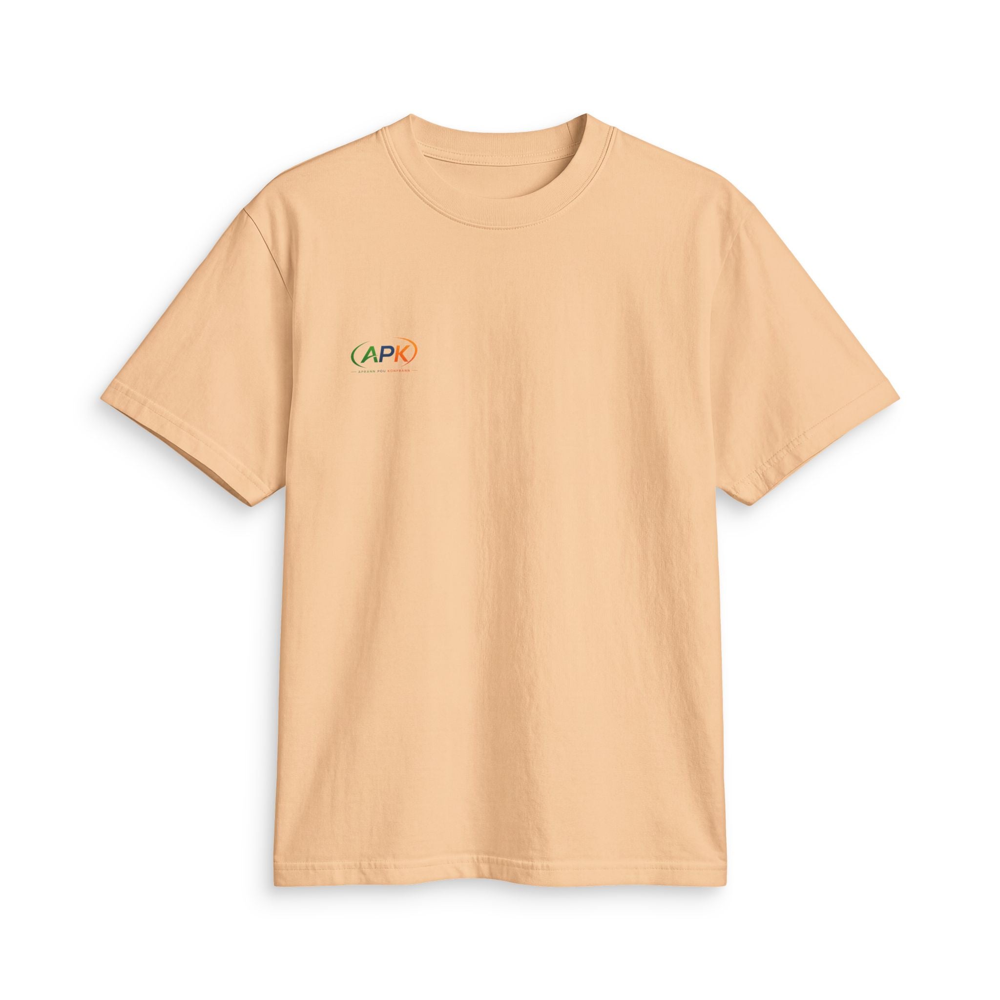 APK Minimal Logo T-Shirt — Small Rainbow Chest Print