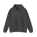 APIC Minimal Logo Hoodie — Subtle Rainbow Tech Sweatshirt