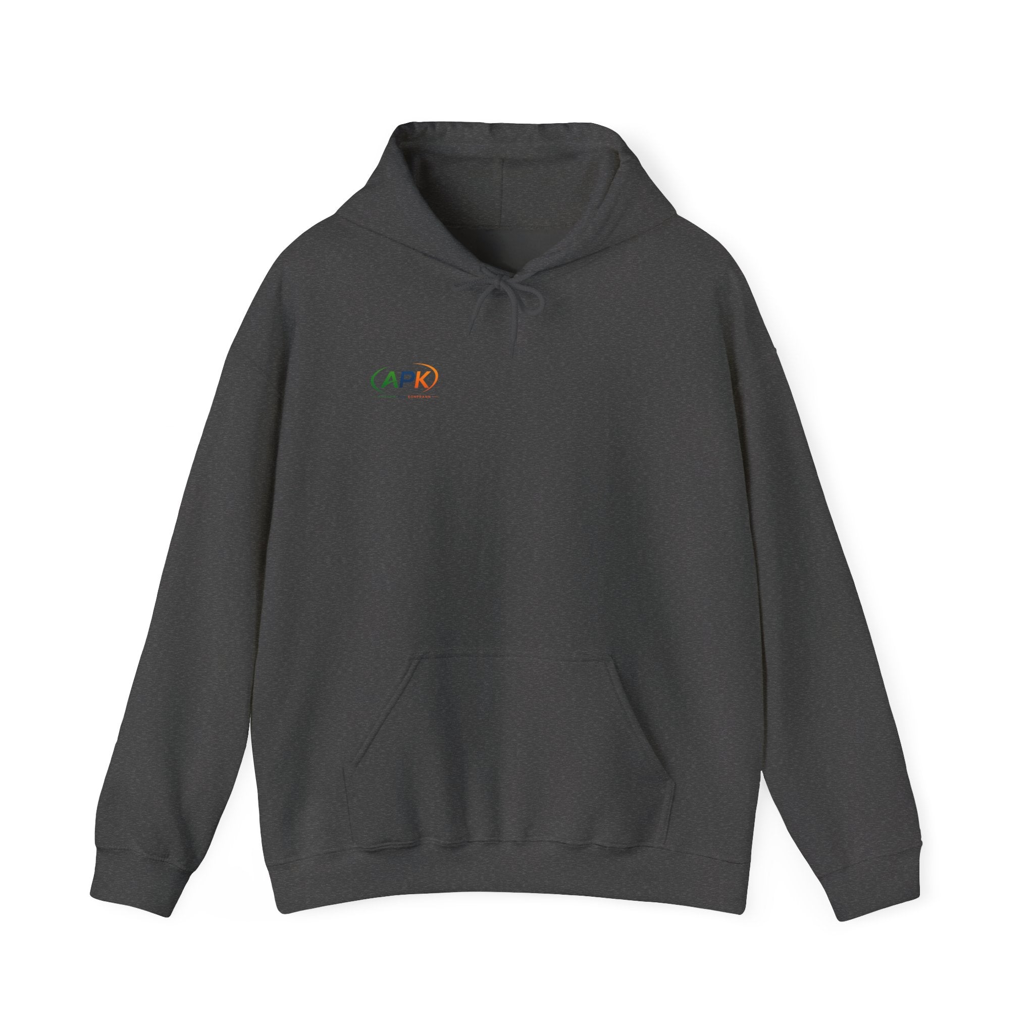 APIC Minimal Logo Hoodie — Subtle Rainbow Tech Sweatshirt