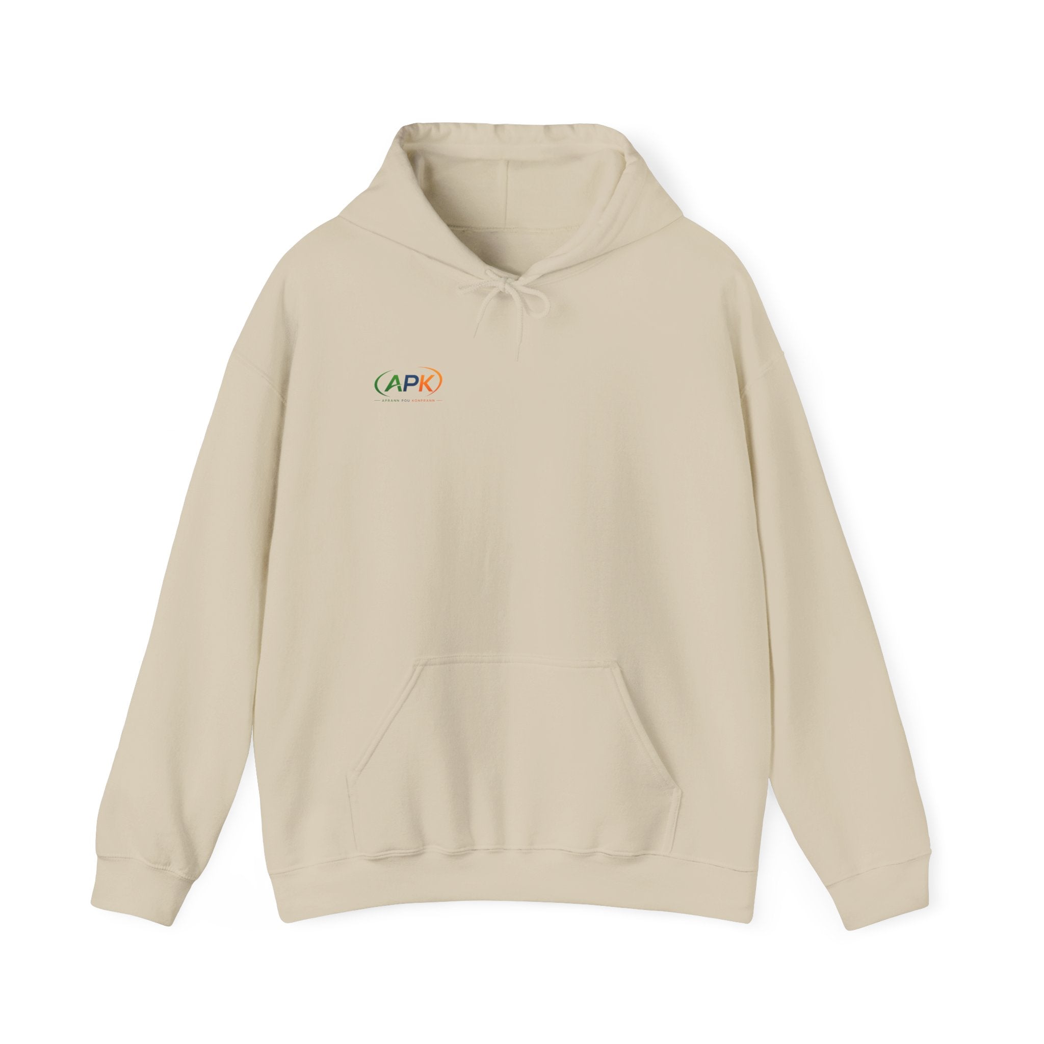 APIC Minimal Logo Hoodie — Subtle Rainbow Tech Sweatshirt
