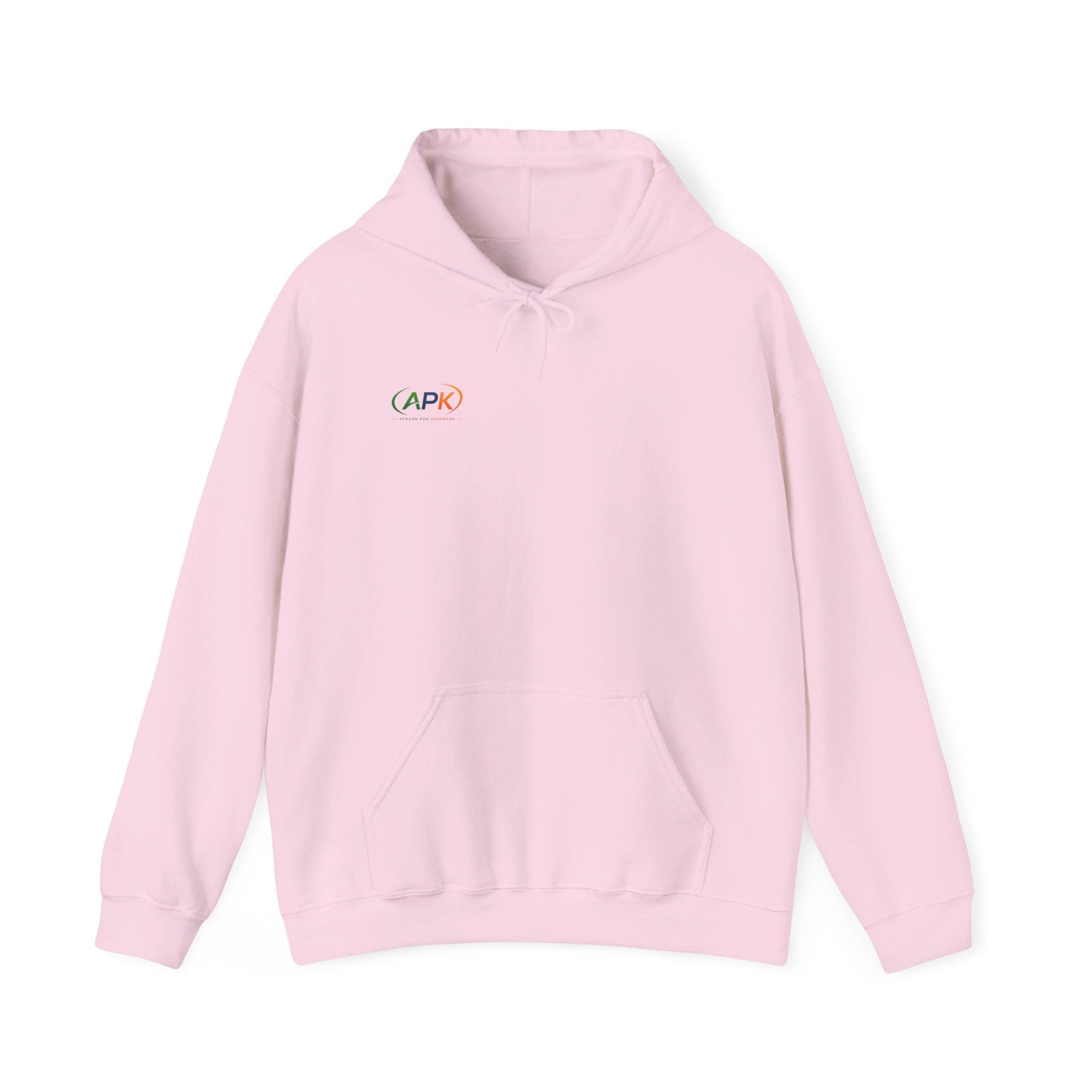 APIC Minimal Logo Hoodie — Subtle Rainbow Tech Sweatshirt
