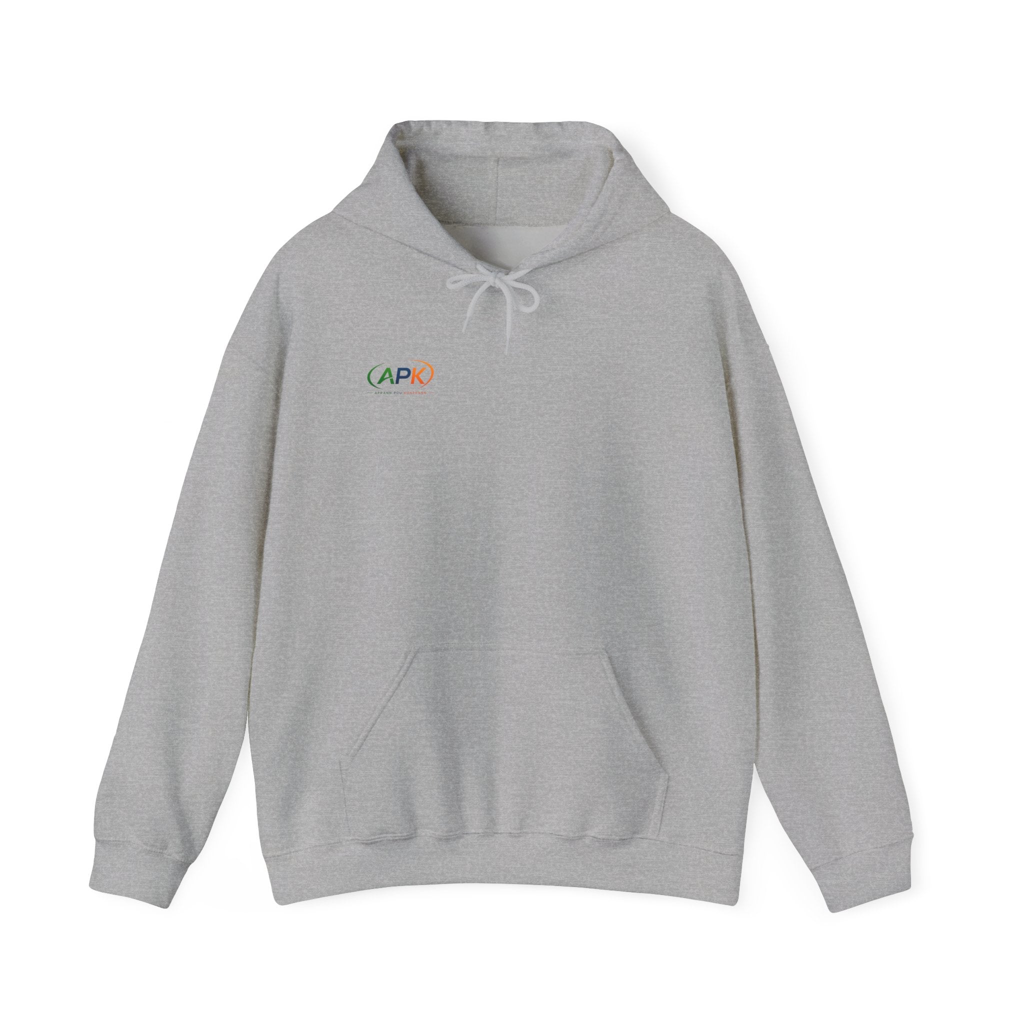 APIC Minimal Logo Hoodie — Subtle Rainbow Tech Sweatshirt