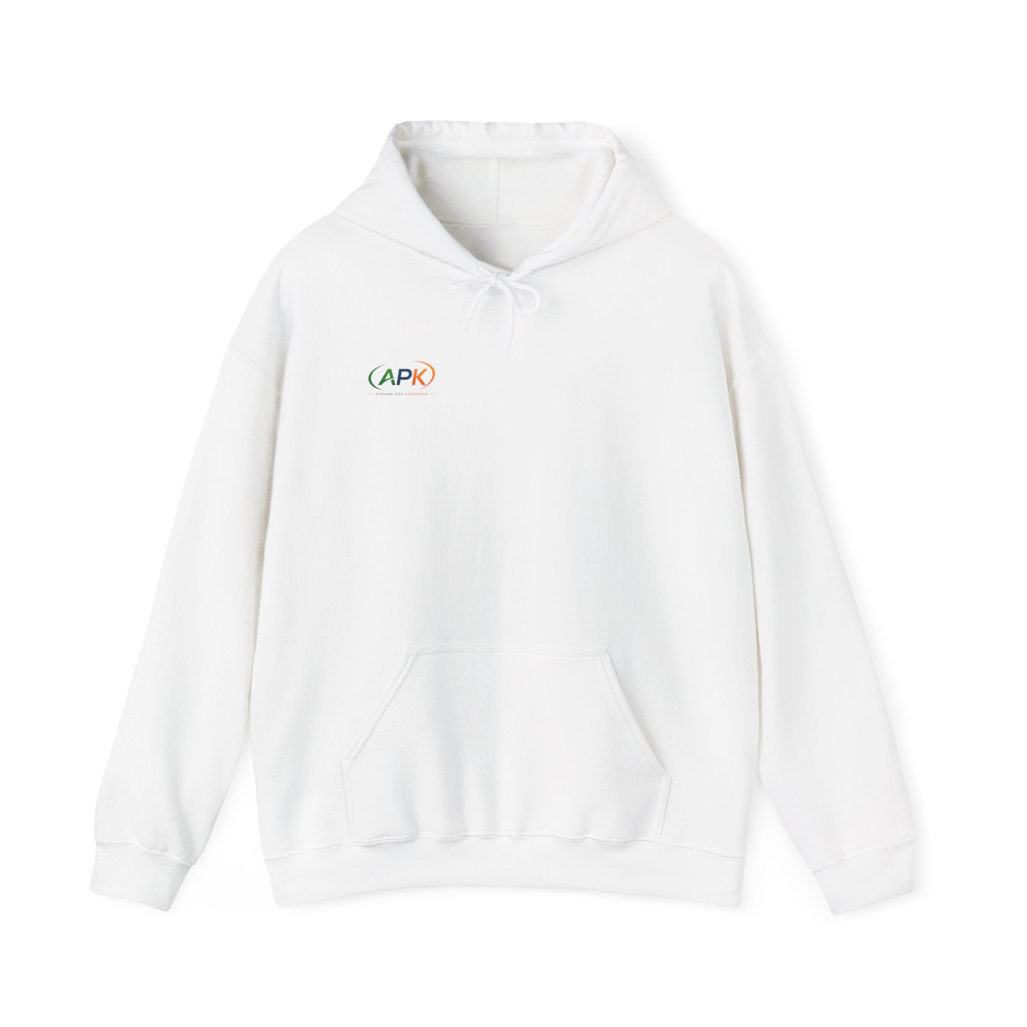 APIC Minimal Logo Hoodie — Subtle Rainbow Tech Sweatshirt