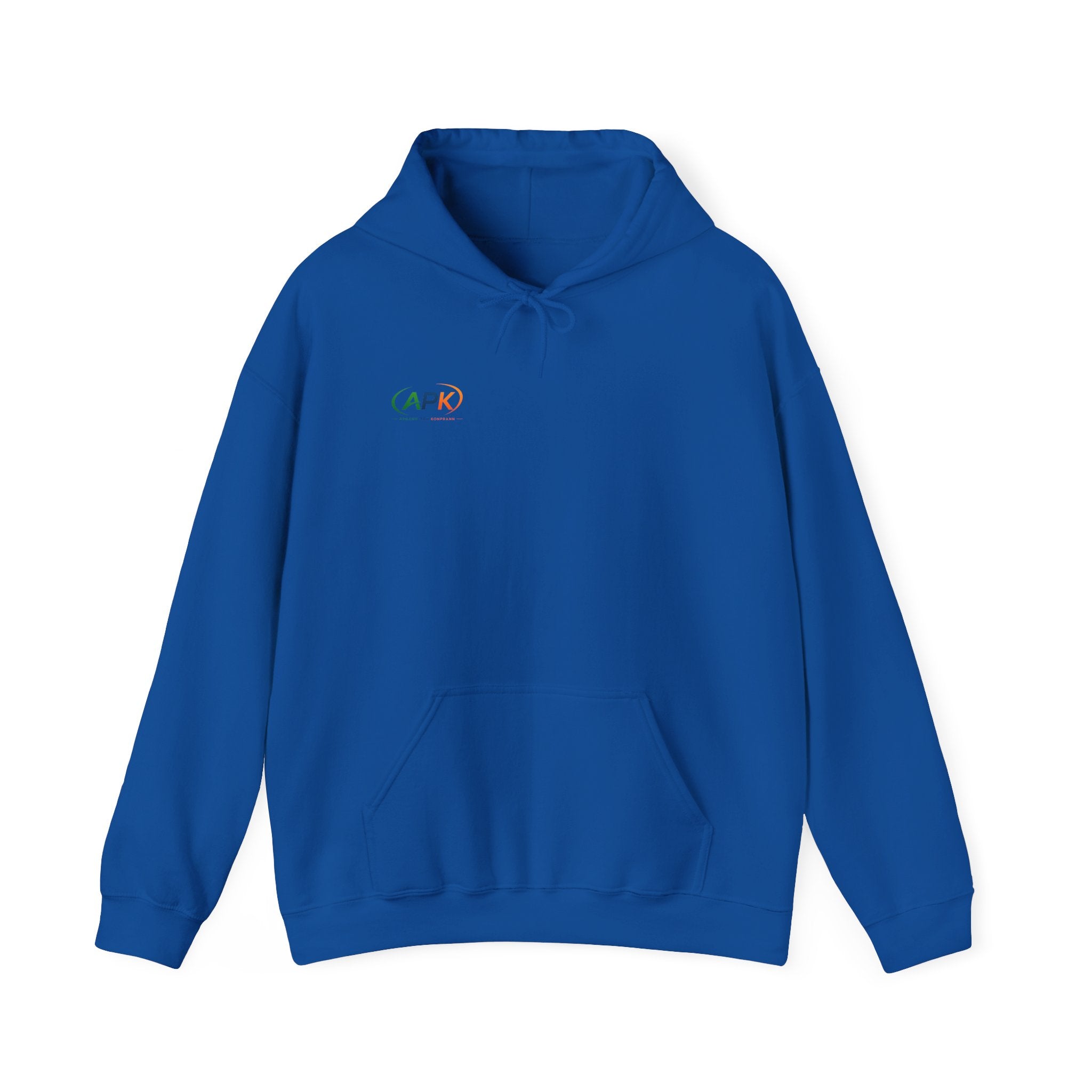 APIC Minimal Logo Hoodie — Subtle Rainbow Tech Sweatshirt