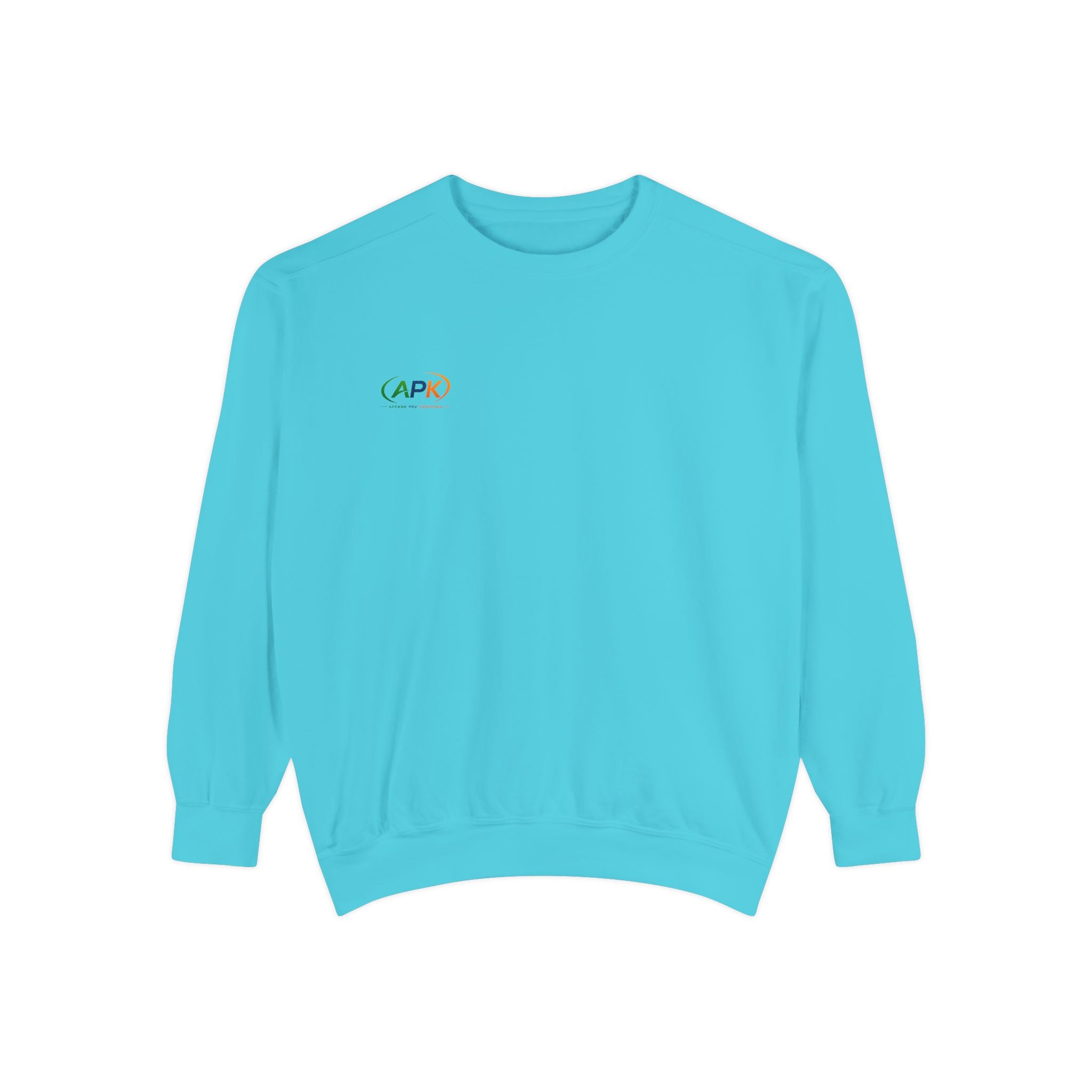 Minimalist 'CAPO' Logo Sweatshirt — Small Rainbow Embroidered Crewneck